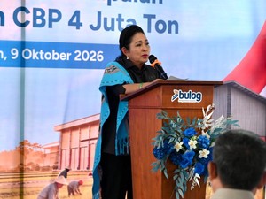 Titiek Pastikan Stok Beras Maluku Cukup, Minta Bulog Cegah Kenaikan Harga