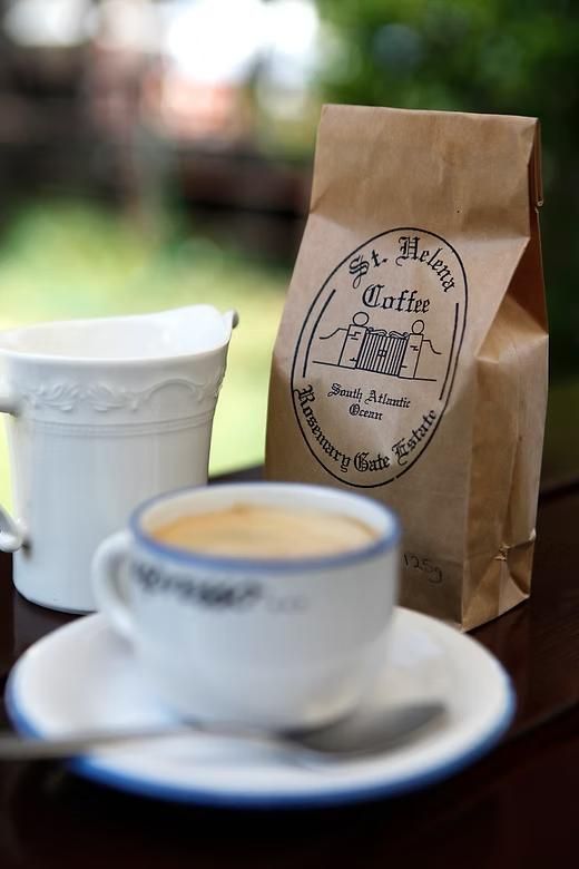 Kopi Luwak Masuk Daftar 6 Kopi Terlangka di Dunia, Ada Apa Saja?