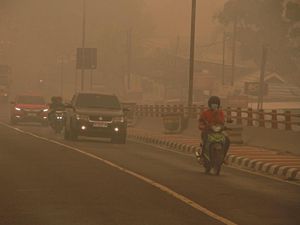 Kabut Asap Bikin Bandara Sampit Mati Suri, Warga Harus 9 Jam ke Banjarmasin