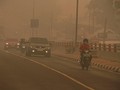 Ada Gas Hidrogen Sianida di Balik Asap Karhutla Gambut, Apa Dampaknya?