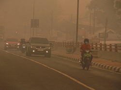Ada Gas Hidrogen Sianida di Balik Asap Karhutla Gambut, Apa Dampaknya?