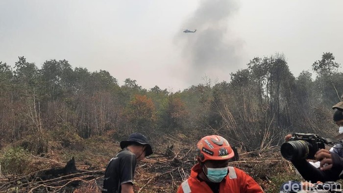 Menhut tengok kondisi lahan sisa karhutla di Kalimantan Selatan. (Khairun Nisa/detikKalimantan)