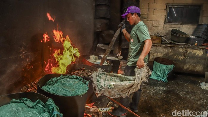 Menggerakkan Perekonomian Pesisir Melalui Industri Pengolahan Kerang Hijau Cilincing (2)