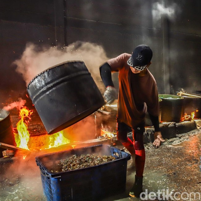 Menjaga Roda Ekonomi Pesisir Lewat Usaha Kerang Hijau di Jakarta Utara
