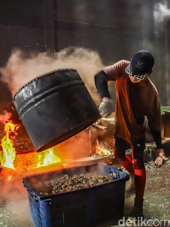 Menjaga Roda Ekonomi Pesisir Lewat Usaha Kerang Hijau di Jakarta Utara