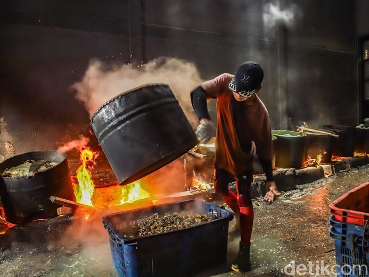 Menjaga Roda Ekonomi Pesisir Lewat Usaha Kerang Hijau di Jakarta Utara