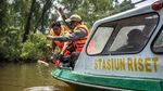 Bekantan di Persimpangan Ancaman Karhutla dan Kerusakan Habitat Bekantan di Persimpangan Ancaman Karhutla dan Kerusakan Habitat