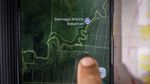 Bekantan di Persimpangan Ancaman Karhutla dan Kerusakan Habitat Bekantan di Persimpangan Ancaman Karhutla dan Kerusakan Habitat