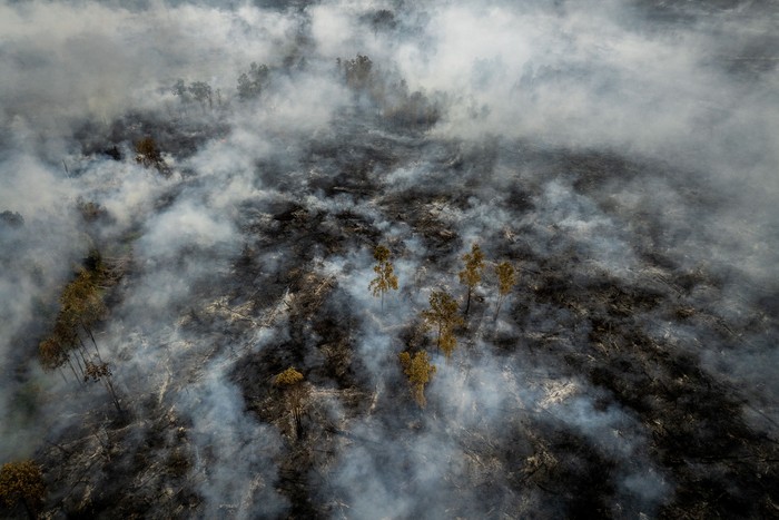 Foto udara asap membubung dari lahan gambut yang tebakar di Kalimantan Selatan.