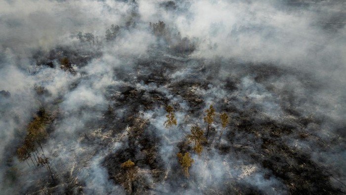 Foto udara asap membubung dari lahan gambut yang tebakar di Kalimantan Selatan.