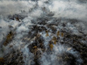 Karhutla Berbulan-bulan, El Nino Jadi Kambing Hitam?