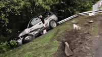 Pelajaran dari Pajero Sport Nyusruk ke Parit usai Tabrak Pembatas Tol Jagorawi