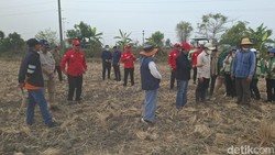 Wamenko Pangan Siapkan Langkah Inovasi di Lahan Bekas Karhutla