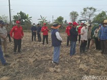 Wamenko Pangan Siapkan Langkah Inovasi di Lahan Bekas Karhutla