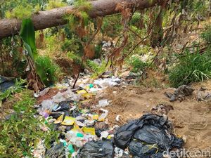 Pemkab Brebes Minta SPPG Tanggung Jawab soal Temuan Sampah di Hutan Pinus