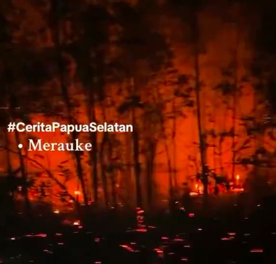 Kala Asap Karhutla Membentang hingga Ujung Timur Nusantara (3)
