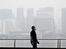 8 Bos Sawit RI Menghadap Menteri Singapura, Ini Daftarnya