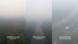 Total 513,89 Hektare Lahan Terbakar di TNTP, Prabowo Perintahkan Atensi Khusus