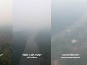 Total 513,89 Hektare Lahan Terbakar di TNTP, Prabowo Perintahkan Atensi Khusus