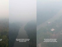 Total 513,89 Hektare Lahan Terbakar di TNTP, Prabowo Perintahkan Atensi Khusus