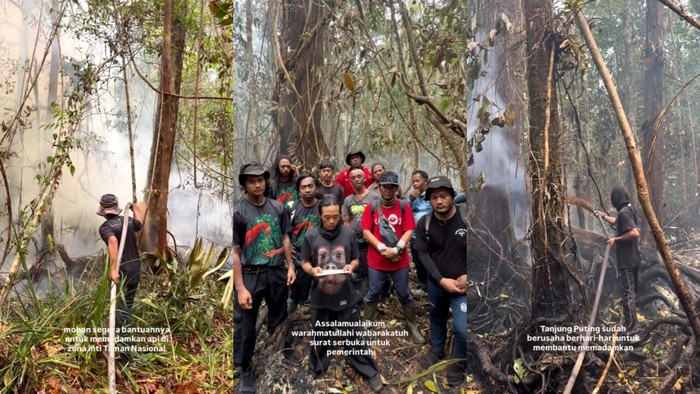 Surat Terbuka Relawan Tanjung Puting