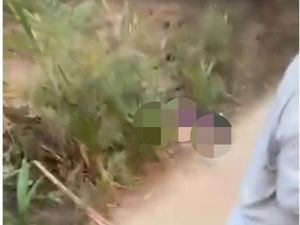 Video: Geger Penemuan Mayat Wanita Setengah Telanjang di Kebon Sawit Mesuji