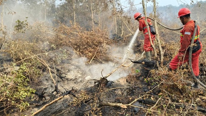 Sebanyak 10 rumah warga di KelurahanPerigi, Kecamatan Kayu Agung, Kabupaten Ogan Komering Ilir (OKI),Sumatera Selatan, nyaris ludes terbakar akibat kebakaran hutan danlahan (karhutla) yang merambat hingga ke pemukiman warga, Sabtu(11/10/2026).