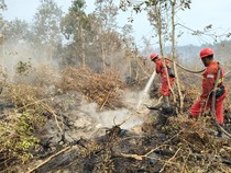 Karhutla Ganggu Pendidikan, Komnas HAM Soroti Siswa yang Harus PJJ
