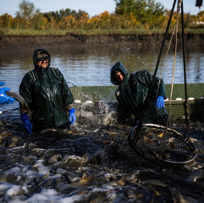 Dari Kolam Ikan ke Lahan Pertanian, Cara Hongaria Hadapi Krisis Air