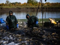 Dari Kolam Ikan ke Lahan Pertanian, Cara Hongaria Hadapi Krisis Air