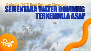 Video: Karhutla TNTP Buat Relawan Menyerah, Sementara Water Bombing Terkendala Asap