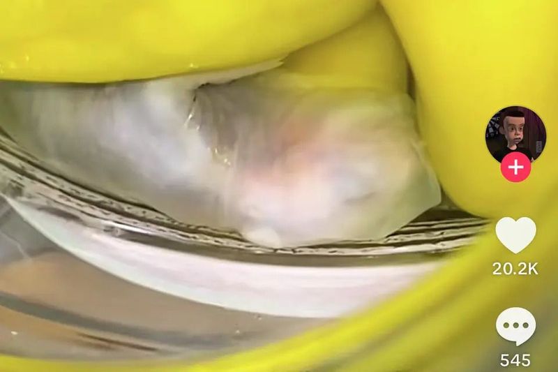 Geli! Tikus Mati di Ngambang di Stoples Acar Cabai Kemasan Geli! Tikus Mati di Ngambang di Stoples Acar Cabai Kemasan
