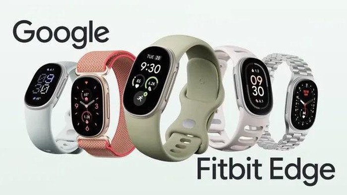 Google Fitbit Edge