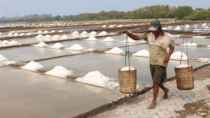 Petani mengumpulkan hasil panen garam di Kabupaten Takalar, Sulawesi Selatan, Selasa (13/10/2026). Harga garam di tingkat petani di daerah itu turun dari Rp150 ribu menjadi Rp45 ribu per karung isi 50 kilogram akibat hasil panen melimpah saat musim kemarau dan mereka berharap adanya bantuan fasilitas gudang untuk menampung hasil panen agar penjualan dapat dilakukan secara bertahap guna menekan penurunan harga tersebut. ANTARA FOTO/Arnas Padda/agr