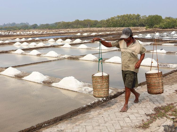 Panen Melimpah, Harga Garam Petani Takalar Turun Tajam