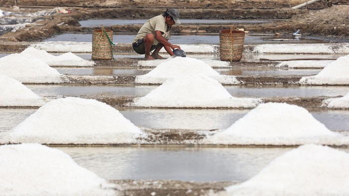 Petani mengumpulkan hasil panen garam di Kabupaten Takalar, Sulawesi Selatan, Selasa (13/10/2026). Harga garam di tingkat petani di daerah itu turun dari Rp150 ribu menjadi Rp45 ribu per karung isi 50 kilogram akibat hasil panen melimpah saat musim kemarau dan mereka berharap adanya bantuan fasilitas gudang untuk menampung hasil panen agar penjualan dapat dilakukan secara bertahap guna menekan penurunan harga tersebut. ANTARA FOTO/Arnas Padda/agr