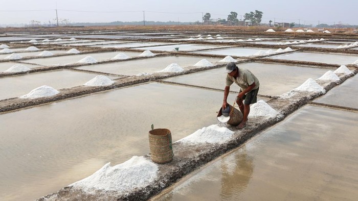 Petani mengumpulkan hasil panen garam di Kabupaten Takalar, Sulawesi Selatan, Selasa (13/10/2026). Harga garam di tingkat petani di daerah itu turun dari Rp150 ribu menjadi Rp45 ribu per karung isi 50 kilogram akibat hasil panen melimpah saat musim kemarau dan mereka berharap adanya bantuan fasilitas gudang untuk menampung hasil panen agar penjualan dapat dilakukan secara bertahap guna menekan penurunan harga tersebut. ANTARA FOTO/Arnas Padda/agr