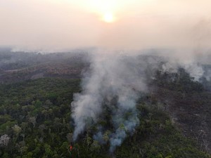 Riset: Karhutla-Deforestasi oleh Manusia, Hutan Amazon Jadi Penyumbang CO2