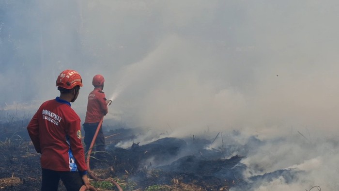 Kebakaran peternakan di Tulungagung