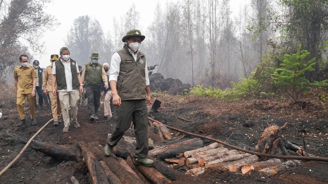 Menhut Prihatin Satwa Terdampak Karhutla: Mereka Tak Bisa Minta Tolong