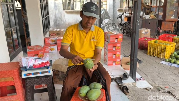 Petani mangga Pasuruan Petani mangga Pasuruan