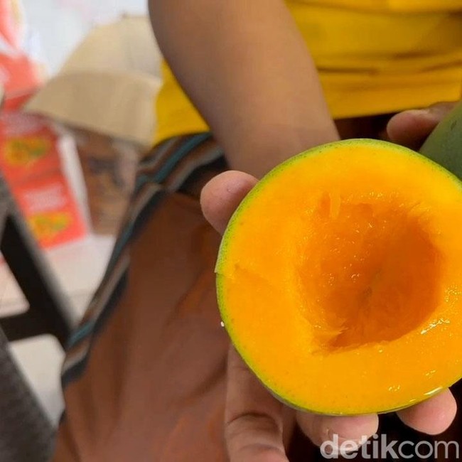 Panen Mangga Alpukat di Pasuruan, Petani Kantongi Omzet Rp 5 Juta Sehari