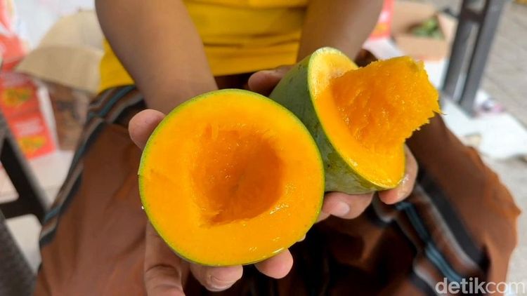 Panen Mangga Alpukat di Pasuruan, Petani Kantongi Omzet Rp 5 Juta Sehari