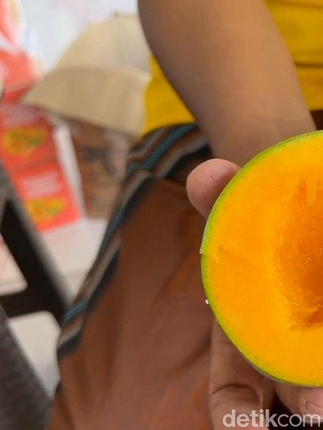 Panen Mangga Alpukat di Pasuruan, Petani Kantongi Omzet Rp 5 Juta Sehari