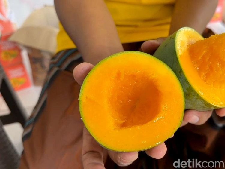 Panen Mangga Alpukat di Pasuruan, Petani Kantongi Omzet Rp 5 Juta Sehari