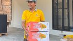 Panen Mangga Alpukat di Pasuruan, Petani Kantongi Omzet Rp 5 Juta Sehari Panen Mangga Alpukat di Pasuruan, Petani Kantongi Omzet Rp 5 Juta Sehari