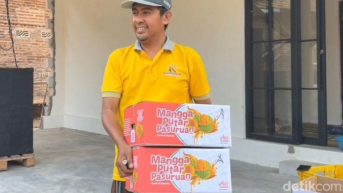 Petani mangga Pasuruan Petani mangga Pasuruan