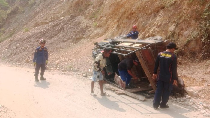 Pikap angkut anak babi terbalik di Palopo.