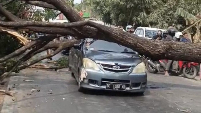 Pohon tumbang menimpa mobil melintas di Jalan Ir Sutami Makassar.