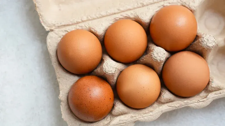 Telur